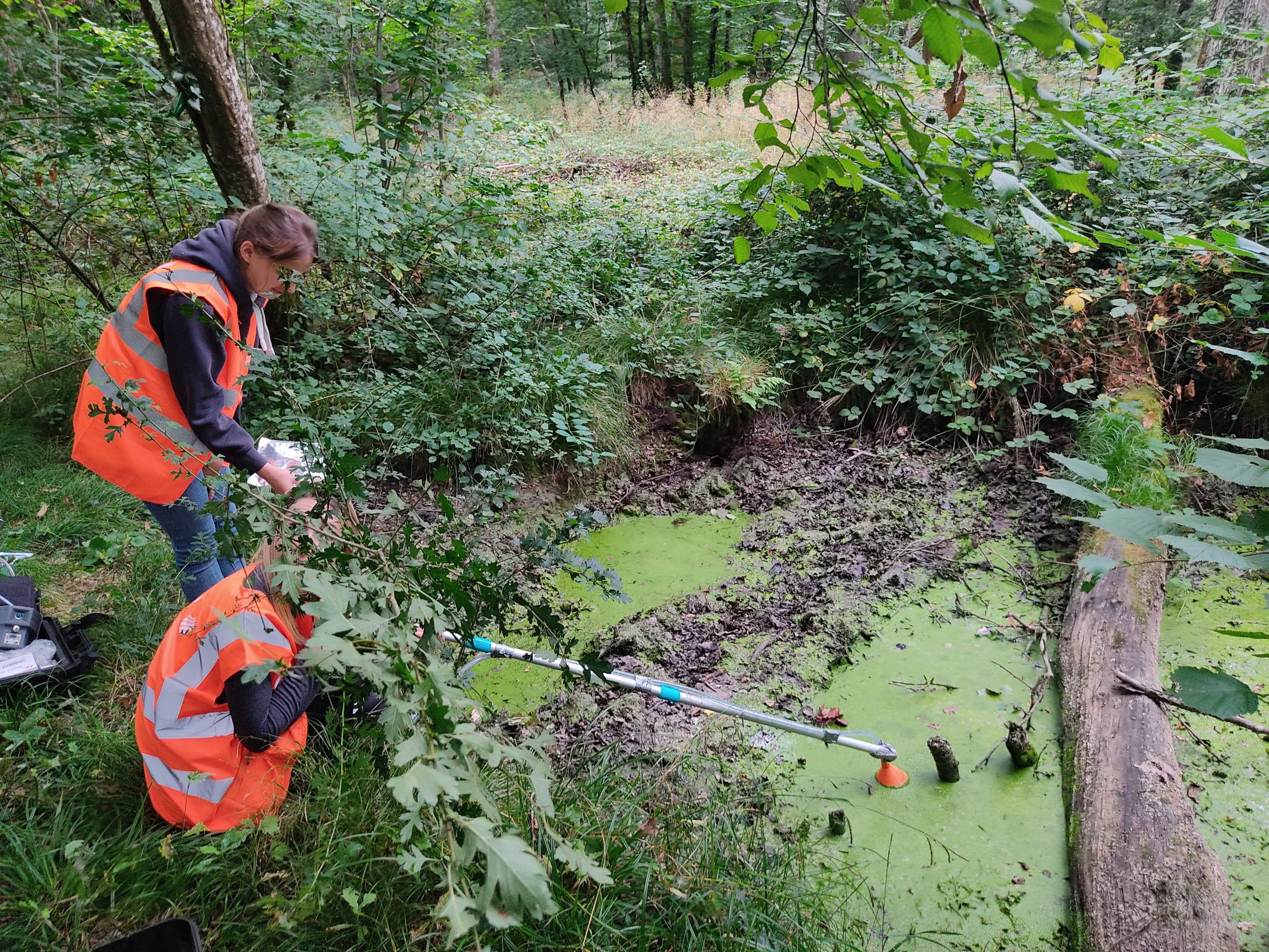 Thèse CIFRE Hélium